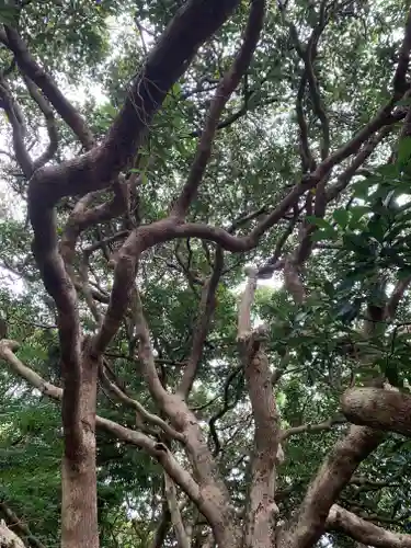 猿田神社の自然