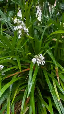 浄篤院(京都府)