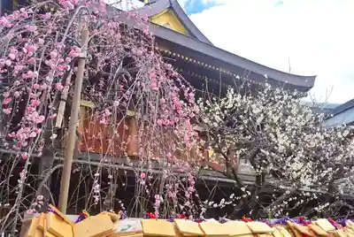 湯島天満宮(東京都)