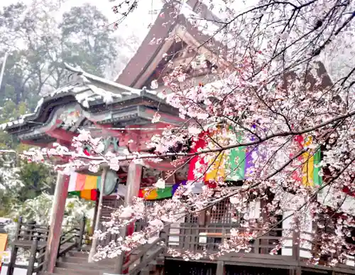 埼玉厄除け開運大師・龍泉寺（切り絵御朱印発祥の寺）の自然