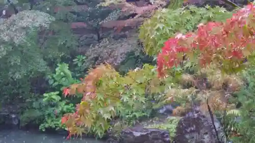 長岡天満宮の庭園