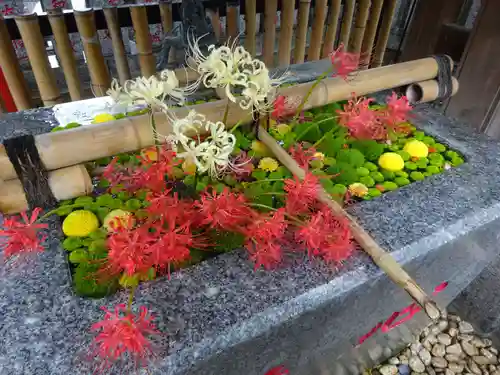 高円寺氷川神社の手水