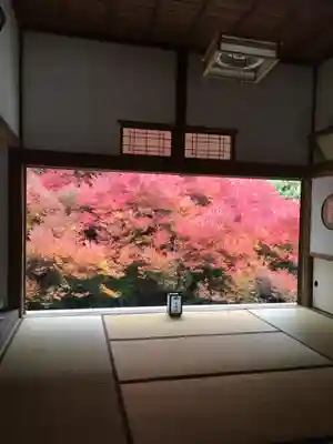 安國寺の本殿・本堂