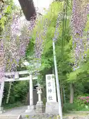 日吉神社(東京都)