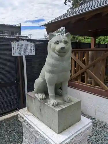 黒犬神社の狛犬