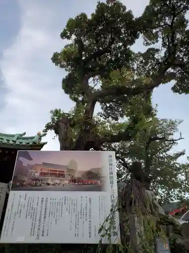 神田神社（神田明神）の庭園