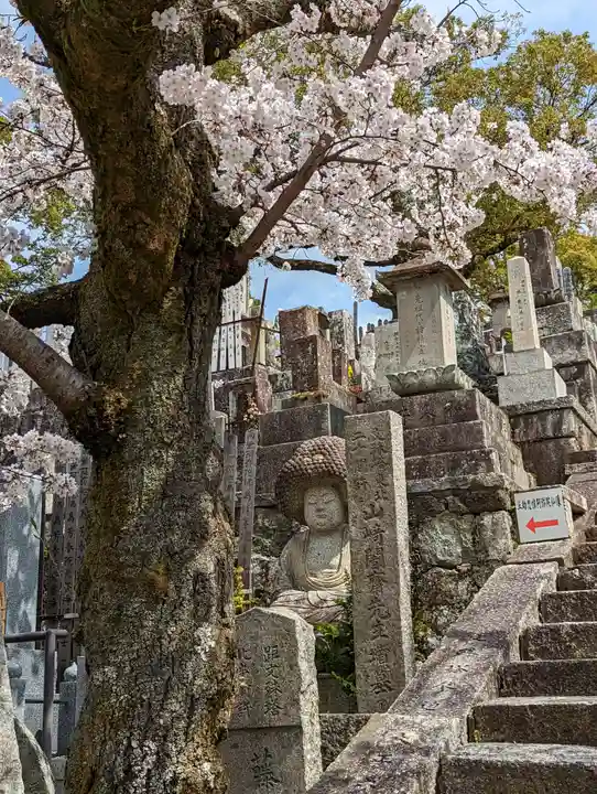 くろ谷 金戒光明寺(京都府)