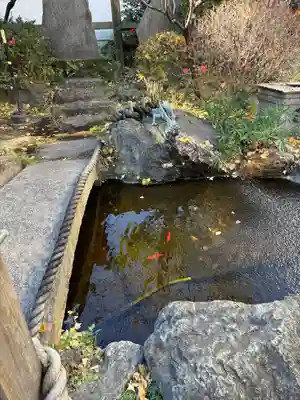 素盞雄神社(東京都)