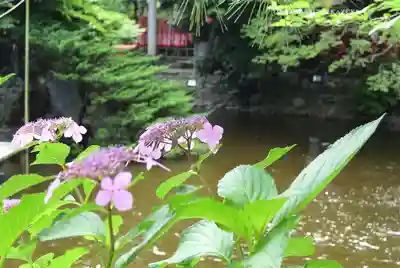 平塚八幡宮(神奈川県)