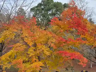 観心寺(大阪府)