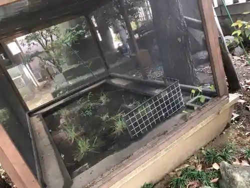 松戸神社(千葉県)