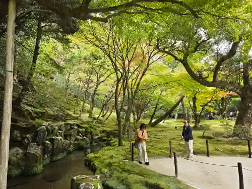 慈照寺（慈照禅寺・銀閣寺）(京都府)
