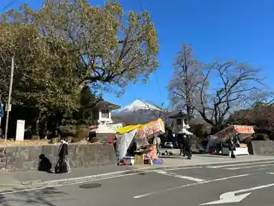 富士山本宮浅間大社(静岡県)