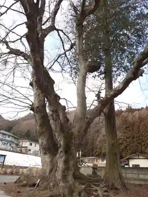 諏訪大社上社前宮(長野県)