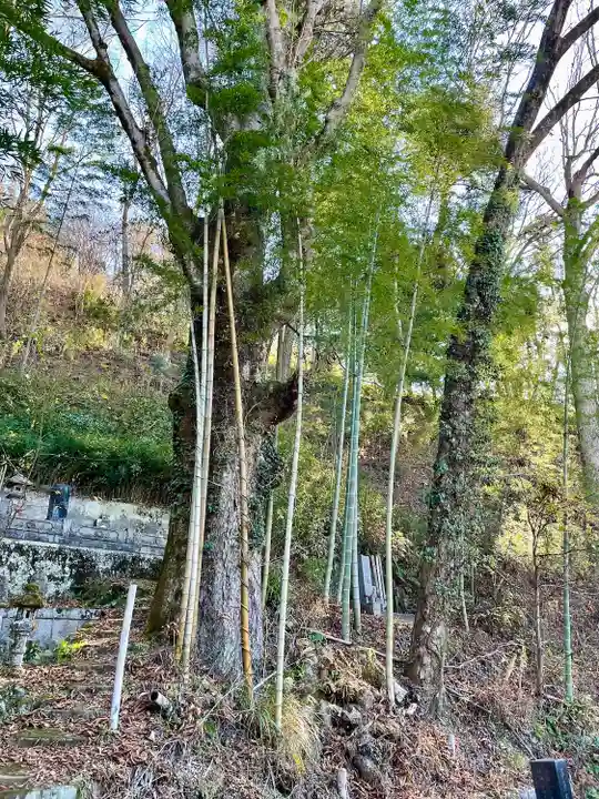 無辺寺(山梨県)