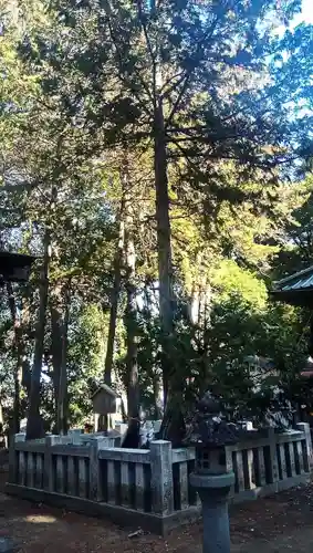 弓削神社(山梨県)