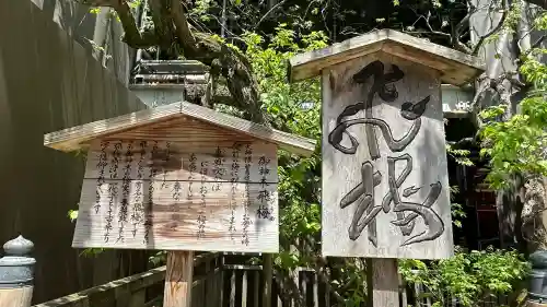 太宰府天満宮の自然