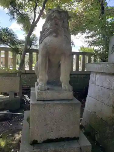 菟橋神社の狛犬