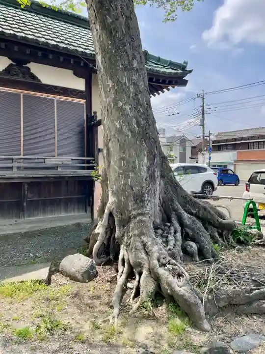千形神社の{uncategorized: "未分類", other: "その他", undefined: "問題あり", building: "その他建物", grave: "お墓", sacred_gate: "鳥居", guardian: "狛犬", statue: "像", buddha: "仏像", history: "歴史", nature: "自然", garden: "庭園", animal: "動物", pagoda: "塔", temizu: "手水舎", mountain_gate: "山門・神門", sanctuary: "本殿・本堂", subordinate: "末社・摂社", art: "芸術", scenery: "景色", jizo: "地蔵", ema: "絵馬", goshuin: "御朱印", omikuji: "おみくじ", items: "授与品その他", amulet: "お守り", goshuincho: "御朱印帳", eats: "食事", festival: "お祭り", votive_dance: "神楽", shichigosan: "七五三参", wedding: "結婚式", experience: "体験その他", initially: "初詣", around: "周辺", anti_infection: "感染症対策"}