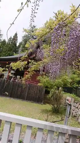 新海三社神社の自然