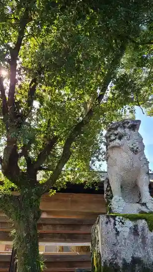 松尾大社の狛犬