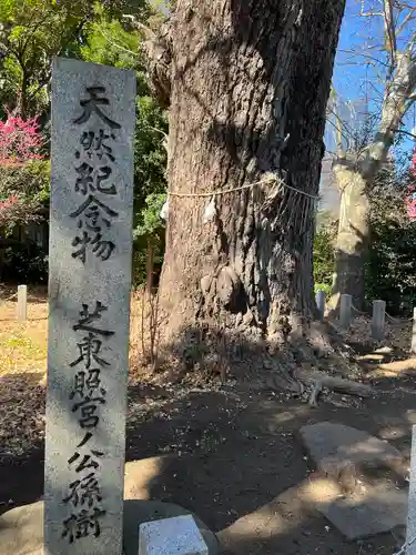 芝東照宮の自然