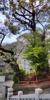 伊勢山皇大神宮(神奈川県)