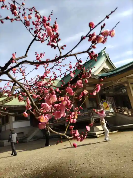 豊國神社の自然