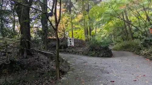 若山神社(大阪府)