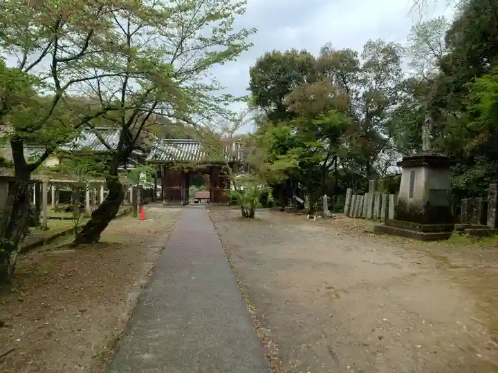 藤井寺(徳島県)