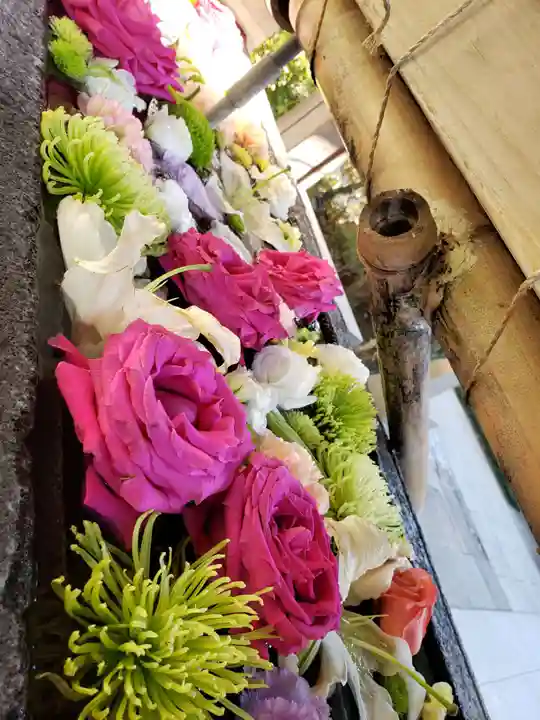 鳩森八幡神社(東京都)