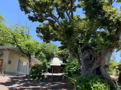 浅間神社のその他建物