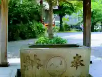 稲毛神社(神奈川県)