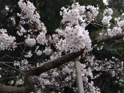 春日神社(福井県)