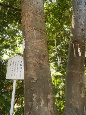 稲毛浅間神社(千葉県)