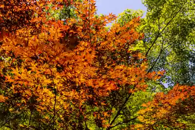 長岡天満宮の自然