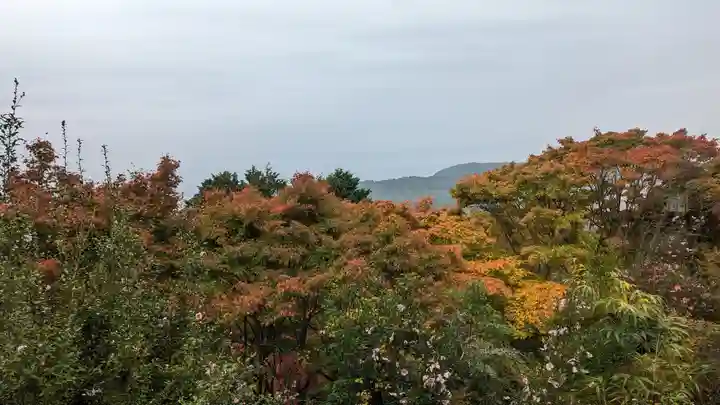 三鈷寺(京都府)