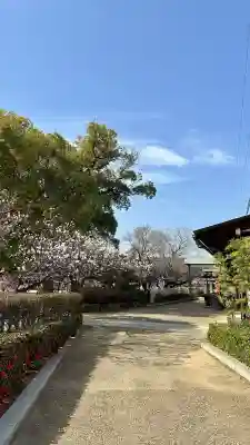 屯倉神社(大阪府)