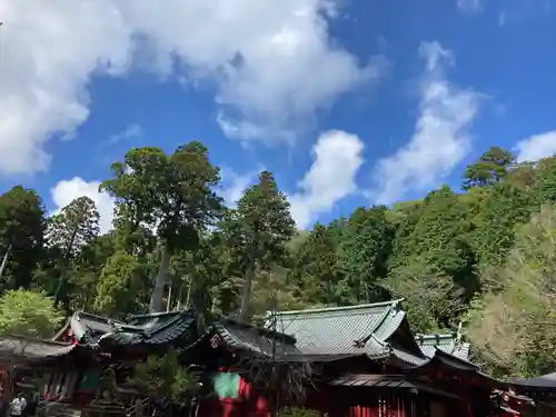 箱根神社(神奈川県)