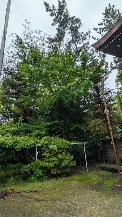 御霊神社(上御霊神社)(京都府)