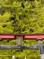 銀杏三寶大荒神(長野県)