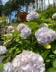 三室戸寺の庭園