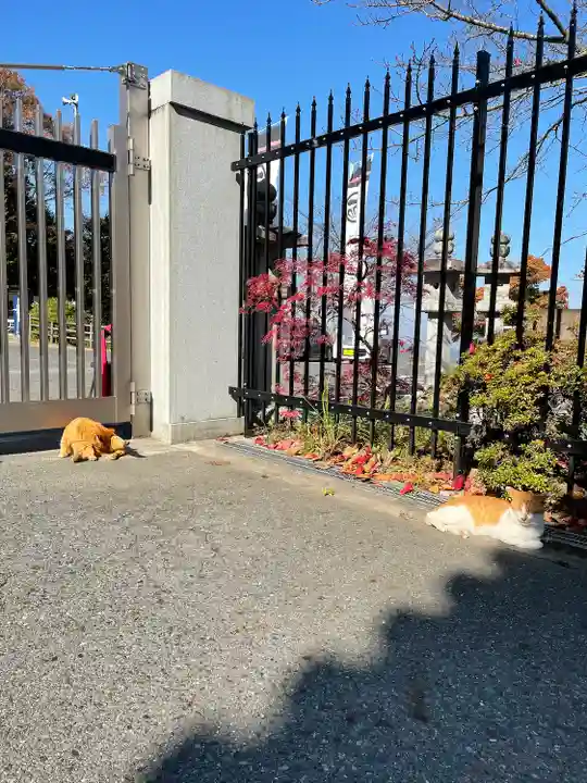 南法華寺(壷阪寺)(奈良県)