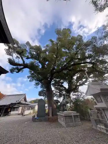 津田八幡神社(徳島県)