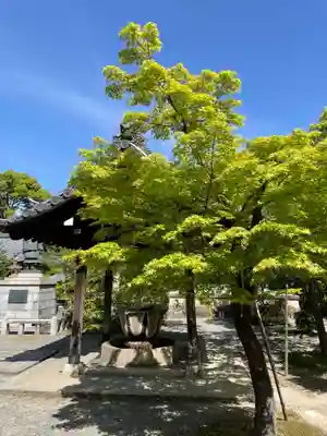 光明寺（粟生光明寺）(京都府)