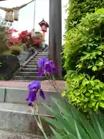 鹿股神社遥拝殿(福島県)