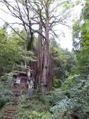 軍刀利神社の建物その他