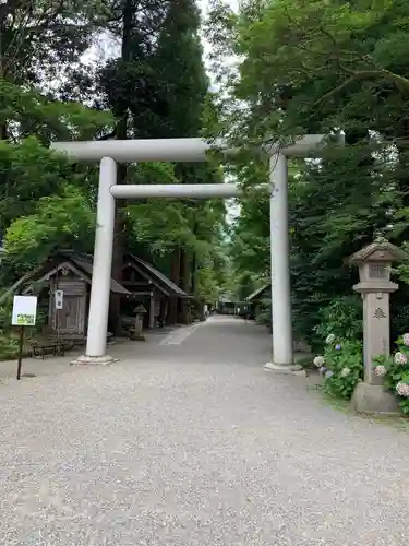 天岩戸神社の鳥居