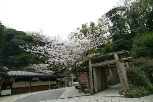 銭洗弁財天宇賀福神社の鳥居