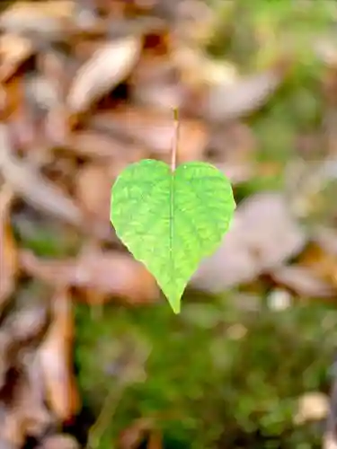 浄土寺(兵庫県)